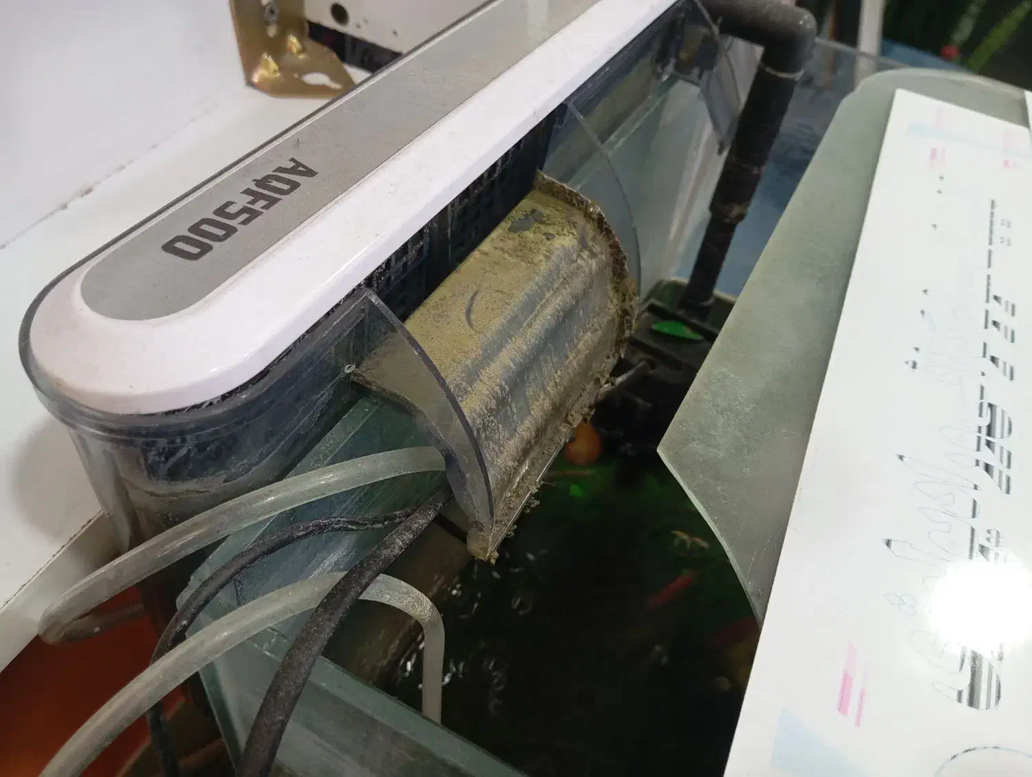 آکواریوم شیشه خم با ماهی و وسایل|ماهی|میاندوآب, |دیوار