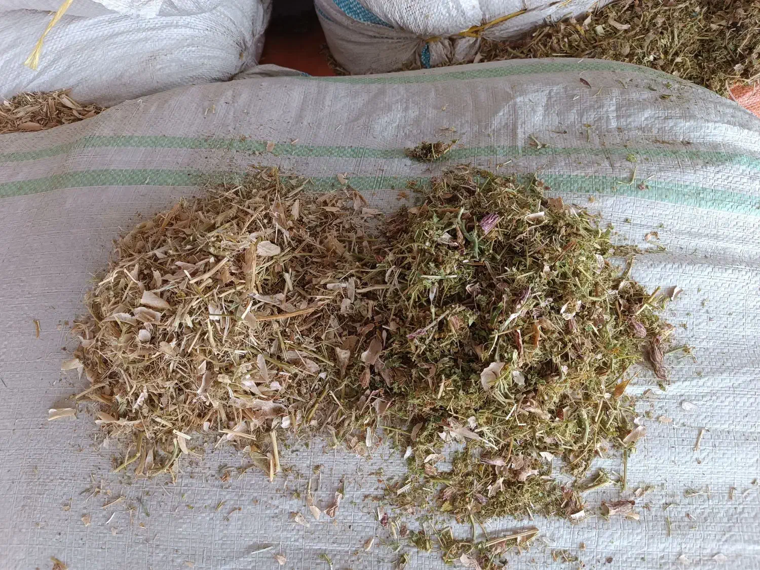 فروشه کاه لوبیا و نخود به قیمت|عمدهفروشی|خرمدره, |دیوار