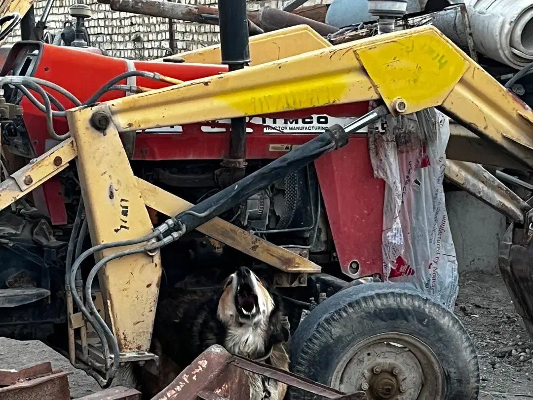 فروش تراکتور ۲۸۵|خودرو سنگین|اصفهان, سرشبادران|دیوار