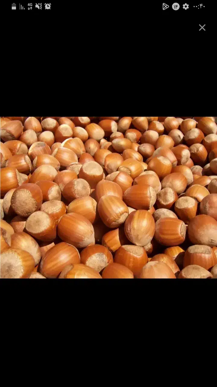 فندق امساله|خوردنی و آشامیدنی|گنبد کاووس, |دیوار