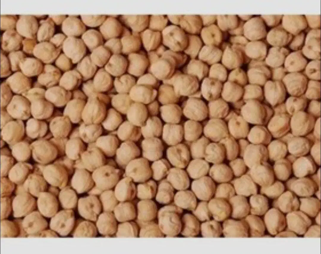 نخود امسال|حراج|سنندج, |دیوار