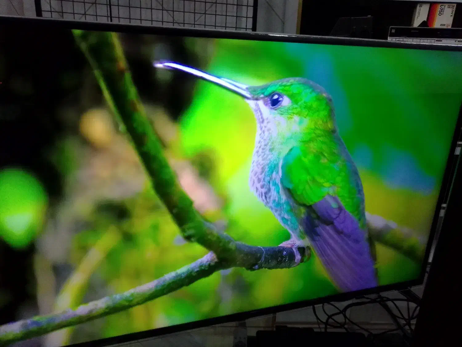 ال ای دی ۵۰ سام اسمارت|تلویزیون و پروژکتور|اسلام‌شهر, شهرک احمدیه|دیوار