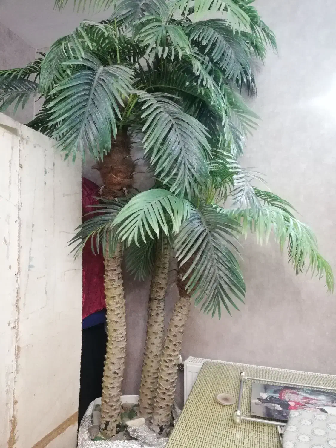 درخت نخل|گل مصنوعی|شاندیز, |دیوار