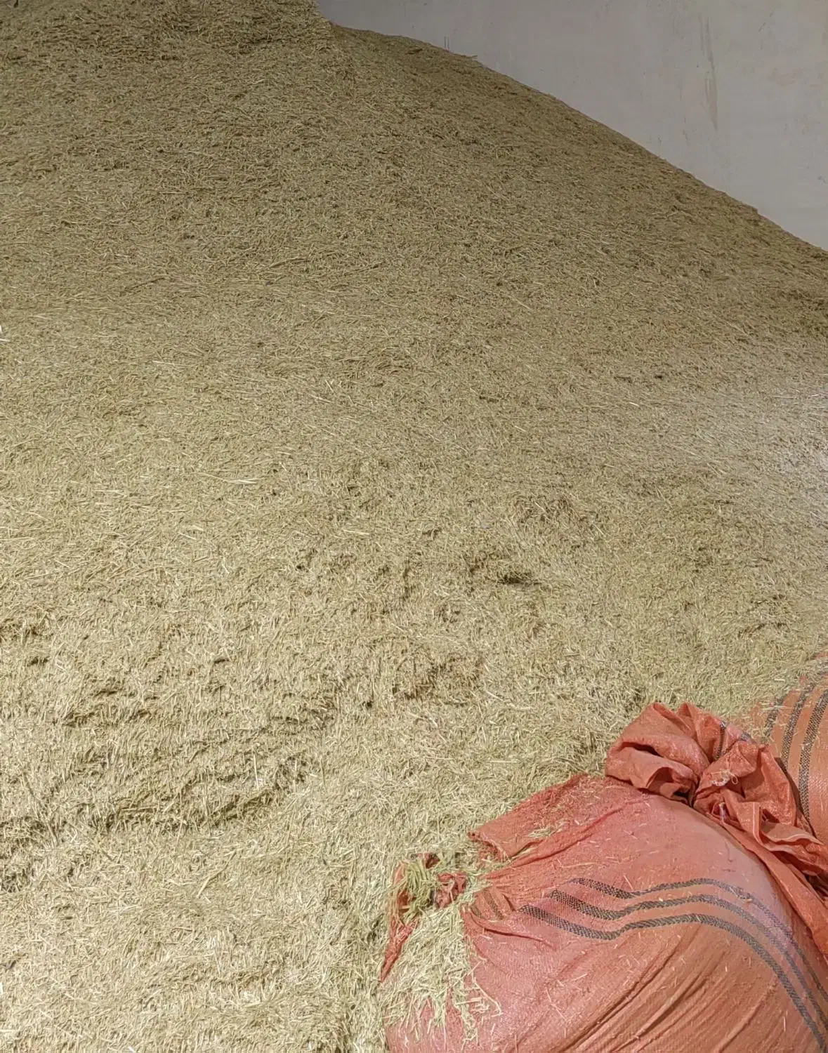 کاه گندم|حیوانات مزرعه|نورآباد, |دیوار