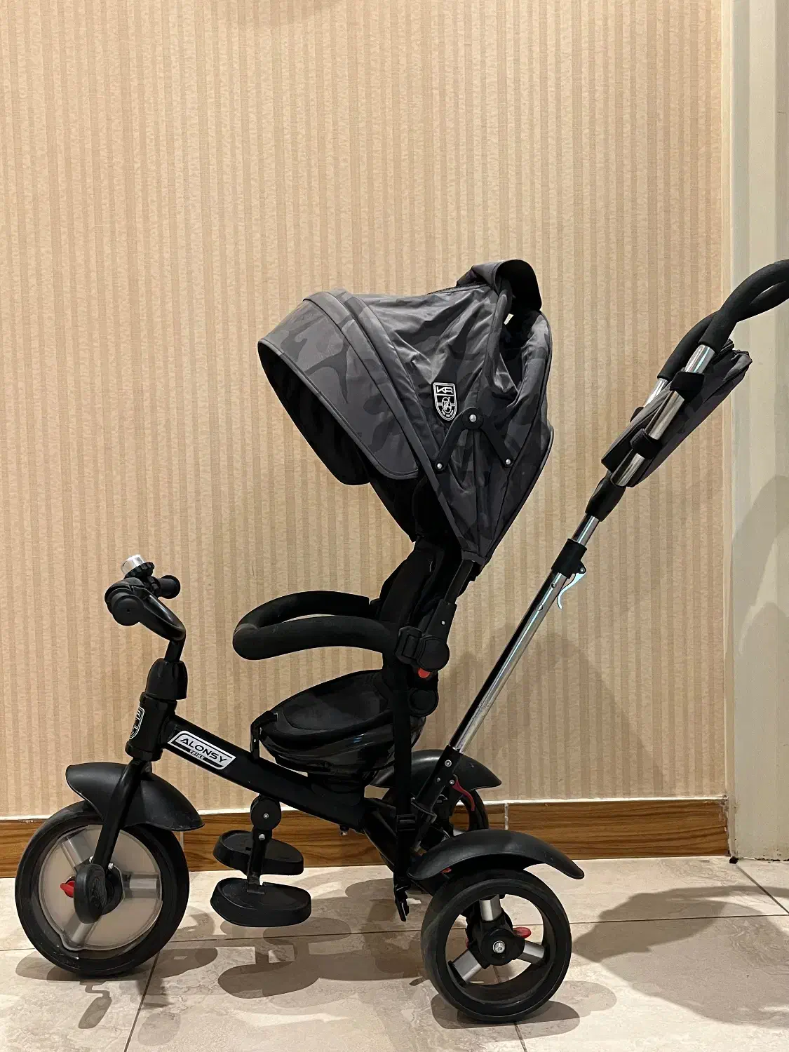 دوچرخه|دوچرخه، اسکیت، اسکوتر|رشت, کاکتوس|دیوار