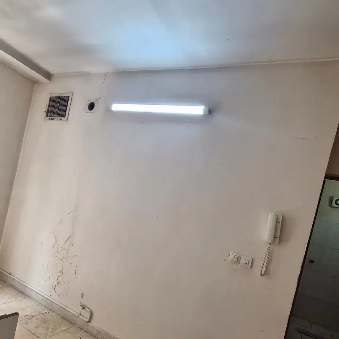 نـقـاشـی سـاختـمـان سـالـوادور(تضمینی)|خدمات پیشه و مهارت|شاهرود, |دیوار