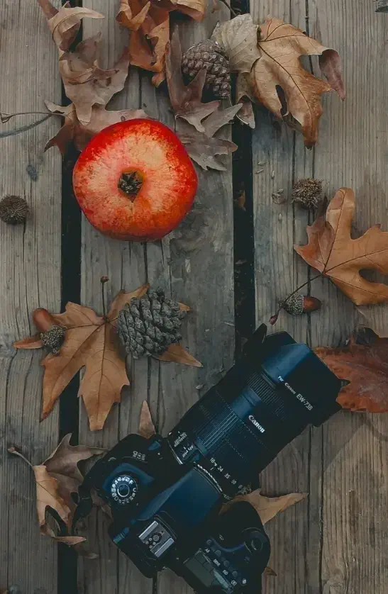 عکاسی و ادمینی|خدمات پذیرایی، مراسم|بیرجند, |دیوار