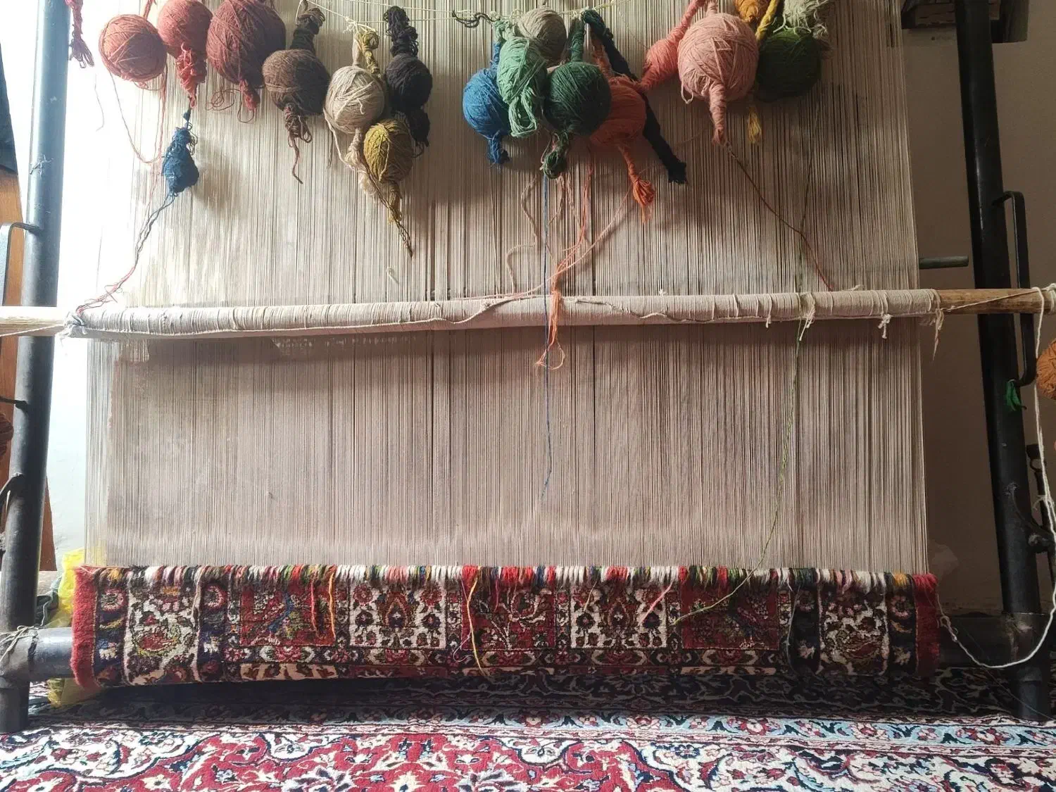 قالی ۱/۵در ۲/۵ دست باف|فرش|فارسان, |دیوار