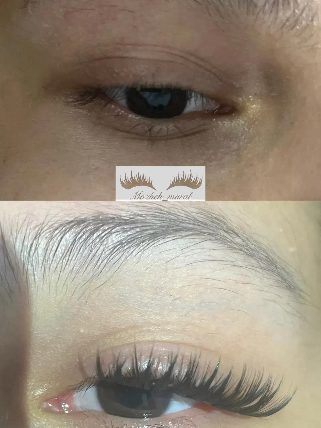 کاشت مژه هیدن|خدمات آرایشگری و زیبایی|شیراز, دارالرحمه|دیوار