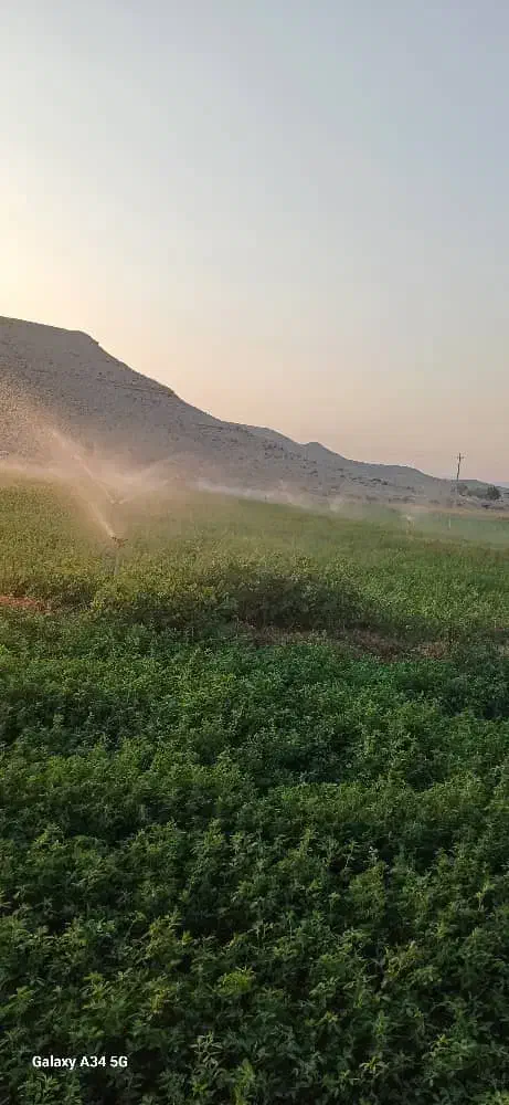 فروش فواره بارانی|خدمات باغبانی و درختکاری|شیبکوه (فارس), |دیوار