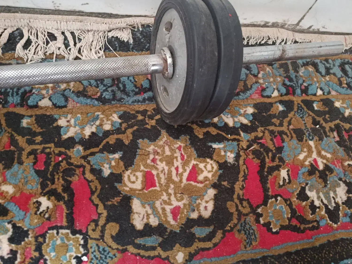 هالتر و دو عدد دمبل فروشی|تجهیزات ورزشی|جیرفت, |دیوار