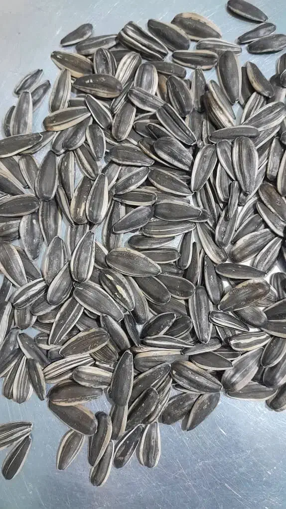 فروش تخمه آفتابگردان|عمدهفروشی|دینور, |دیوار