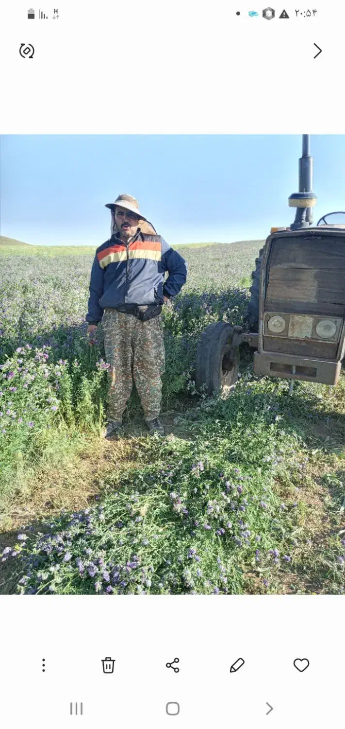 یونجه|لوازم جانبی حیوانات|قره پشتلو, |دیوار