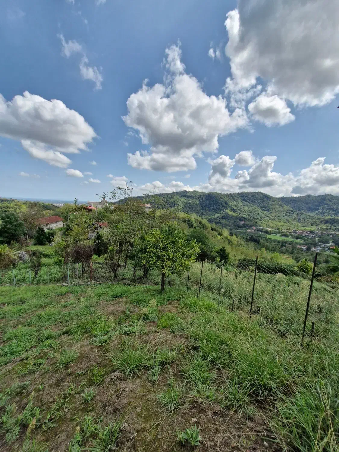 فروش زمین|فروش زمین و ملک کلنگی|لنگرود, |دیوار