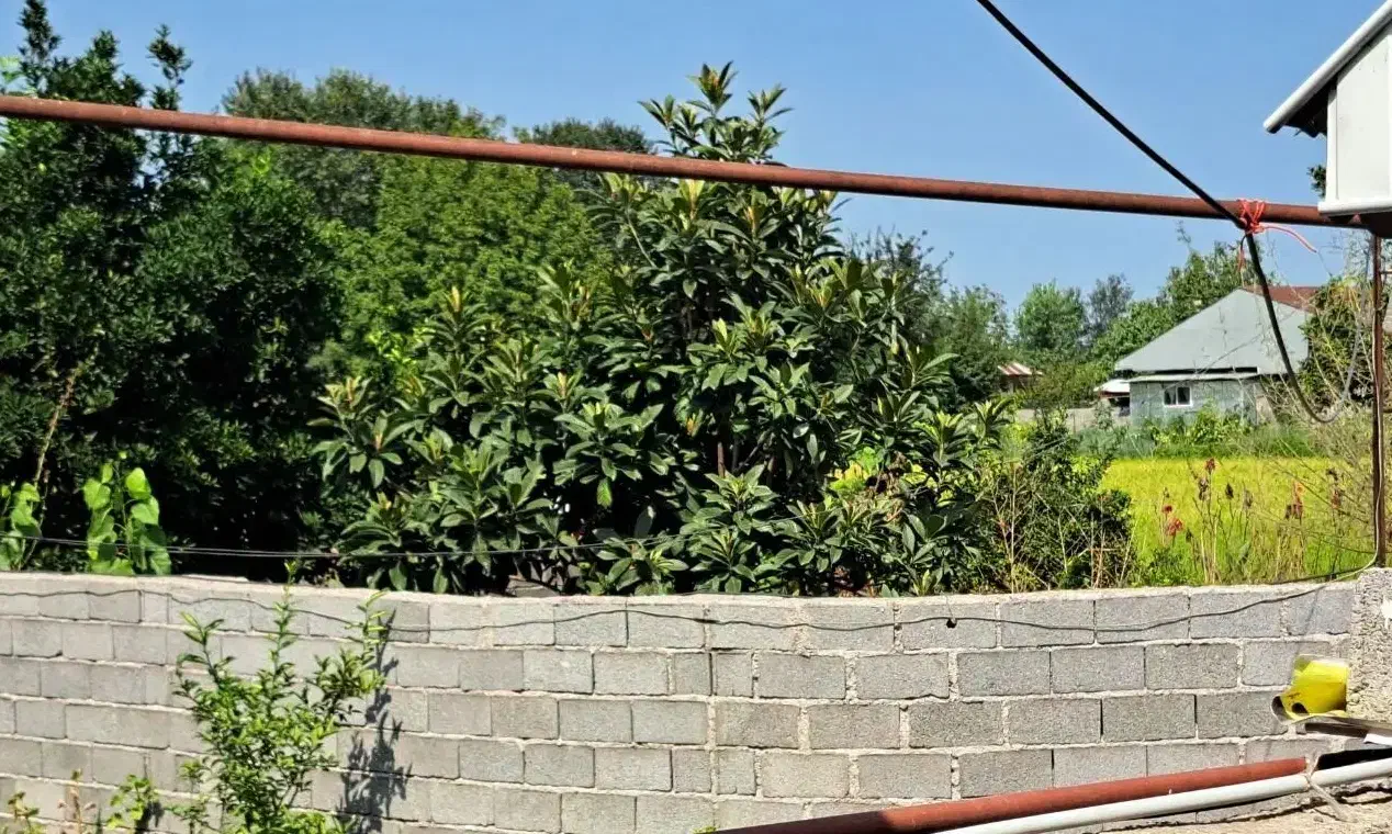 گیلان سنگر450 متر مسکونی 2000متر زمین باغ فنس شد|فروش زمین و ملک کلنگی|سنگر, |دیوار