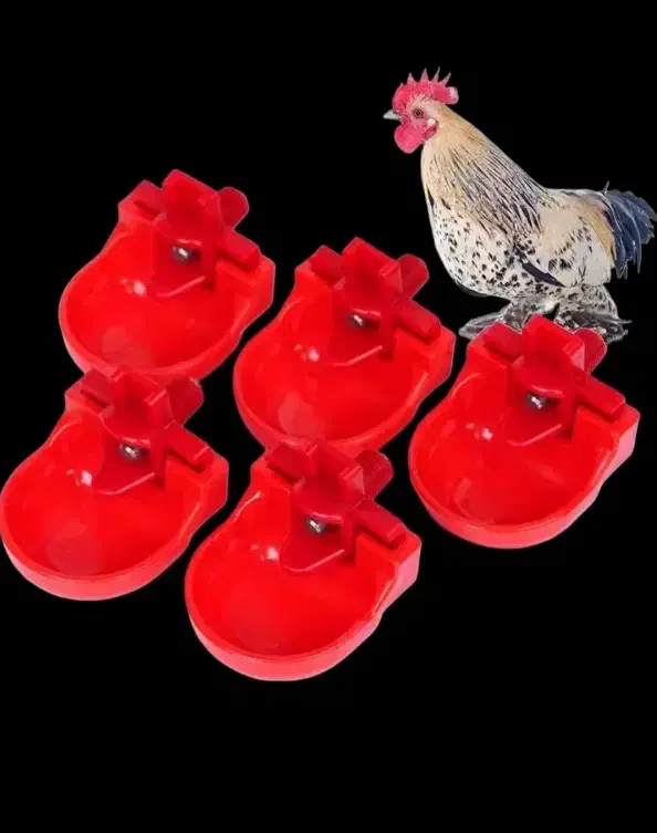 آبخوری منبعی اتومات|لوازم جانبی حیوانات|هشتگرد, هیو|دیوار