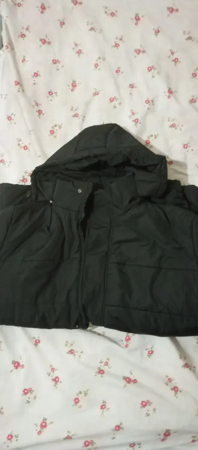 کاپشن نو|لباس|لردگان, |دیوار