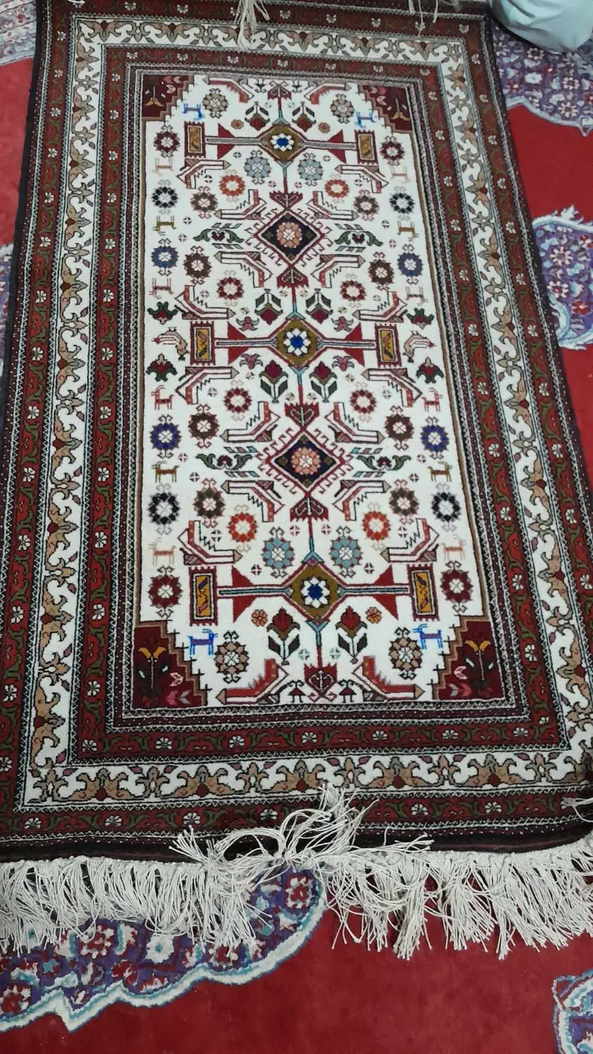 قالیچه فروشی|فرش|خواف, |دیوار