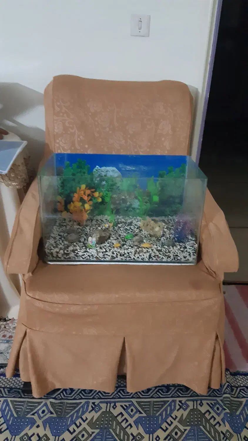 آکواریوم شیشه خم|ماهی|پرند, فاز ۲|دیوار