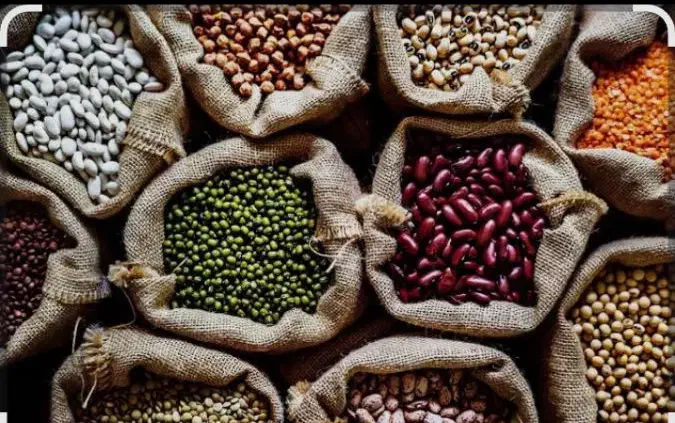 انواع حبوبات ولبنیات خراسان|عمده‌فروشی|رامیان, |دیوار