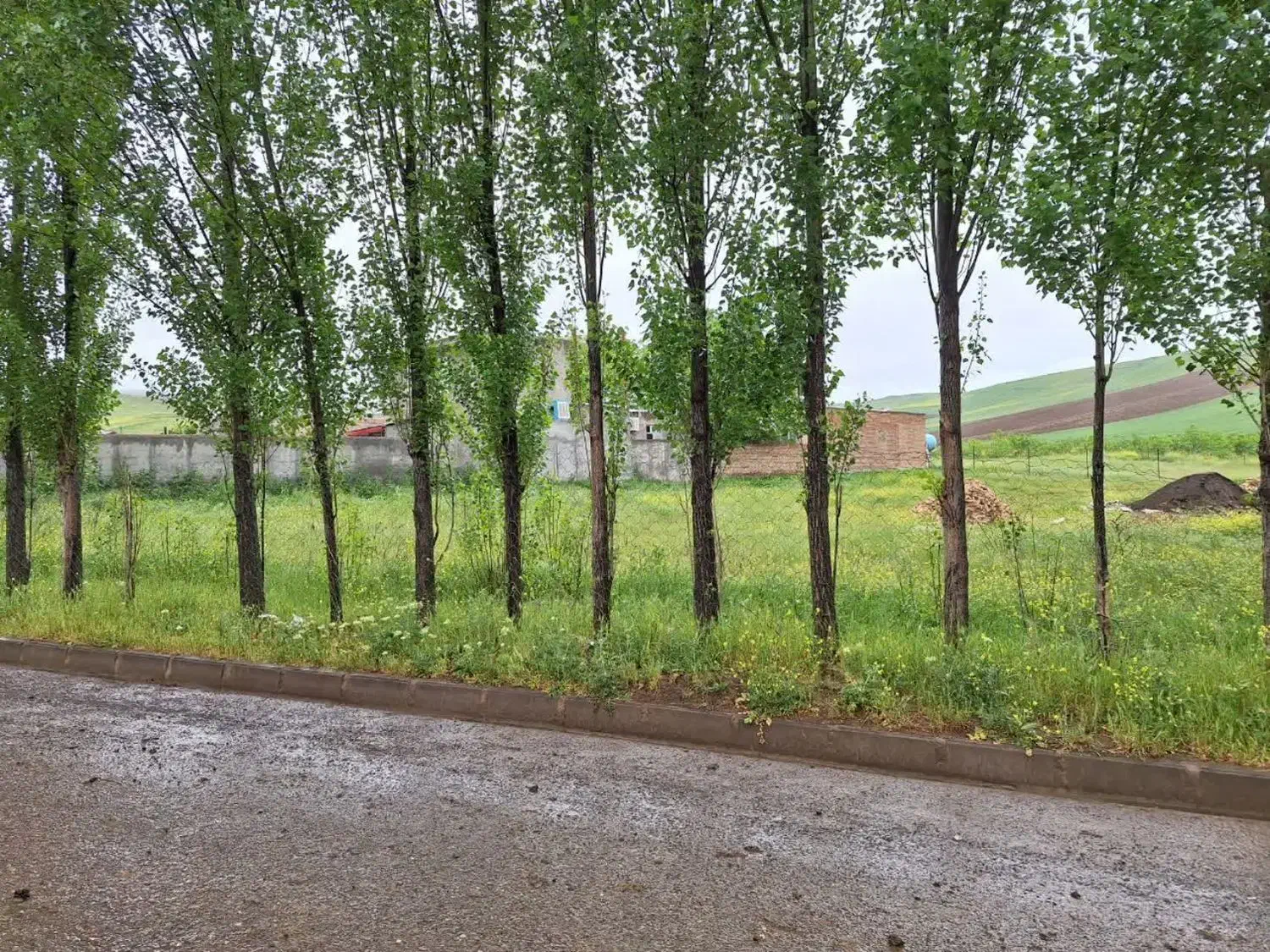 زمین تجاری بر خیابان شهر آبش احمد|فروش زمین و ملک کلنگی|آبش احمد, |دیوار