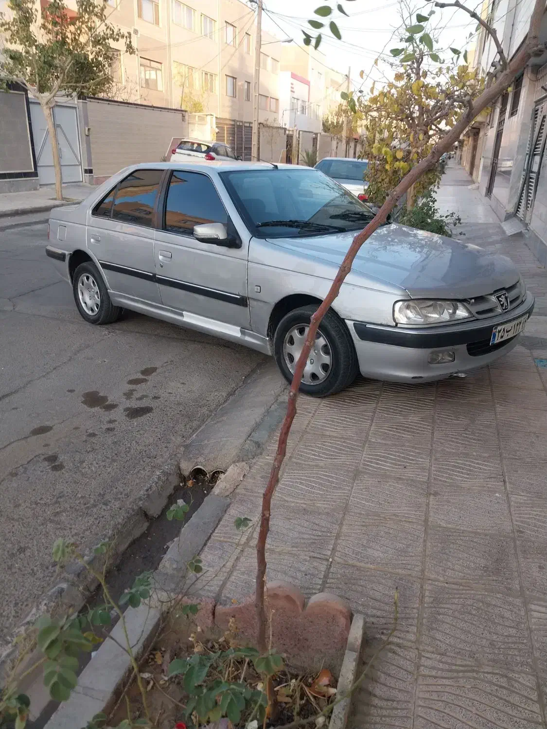 پژو پارس مدل ۸۳....|خودرو سواری و وانت|بیرجند, |دیوار