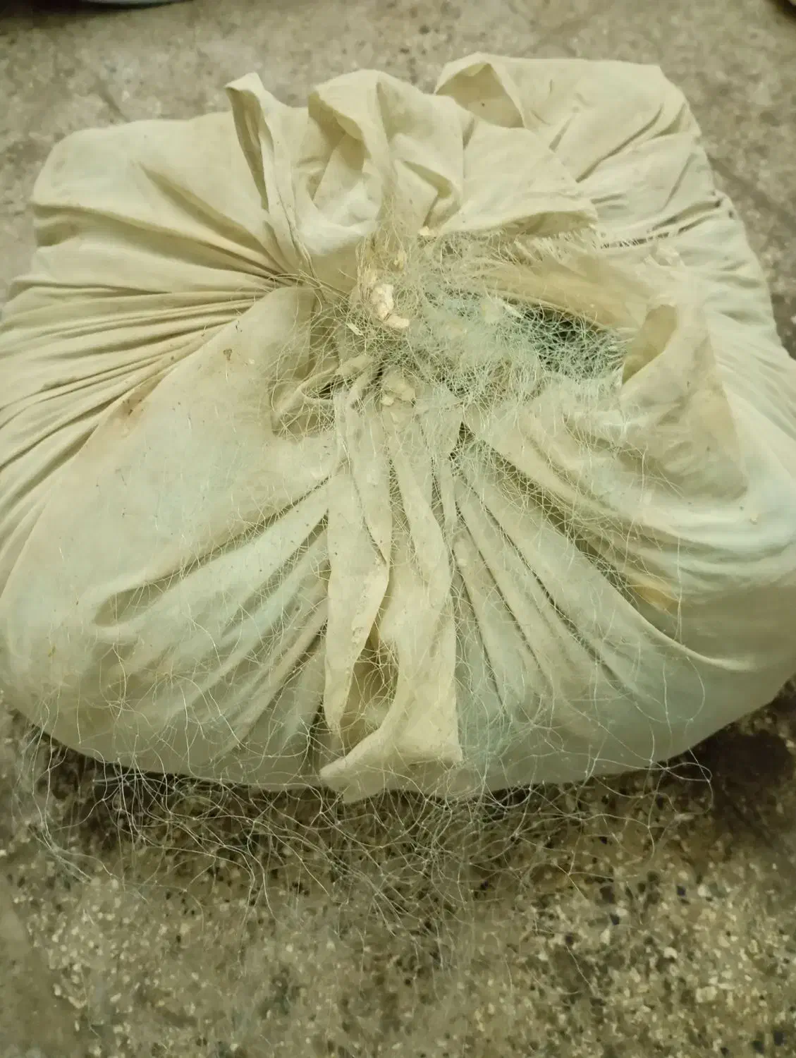 تور ماهیگیری|ماهیگیری|اهواز, پردیس دو|دیوار