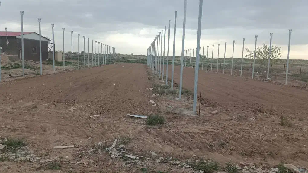 یکواحد گلخونه فروشی در روستای محمودیان|فروش دفتر صنعتی، کشاورزی، تجاری|بشاریات, |دیوار