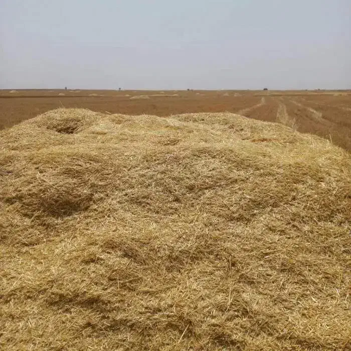 فروش کاه زرد مخصوص کاه گل (قیمت ۱۱۵۰۰)|خدمات باغبانی و درختکاری|زرند, |دیوار