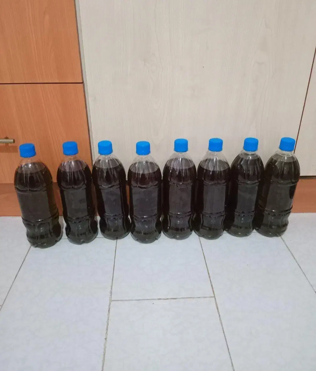 فروش روغن زیتون ناب مینودشت|خوردنی و آشامیدنی|مینودشت, |دیوار