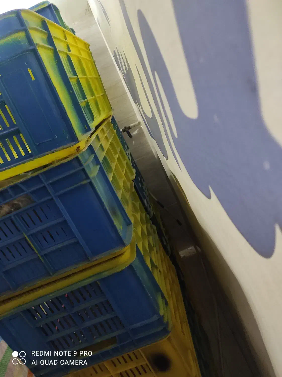 سبد|حراج|سنندج, |دیوار