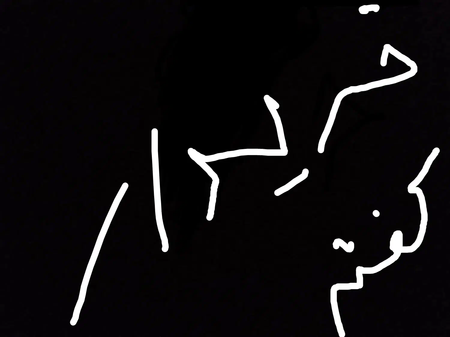 کفتر تهرانی|پرنده|خاش, |دیوار