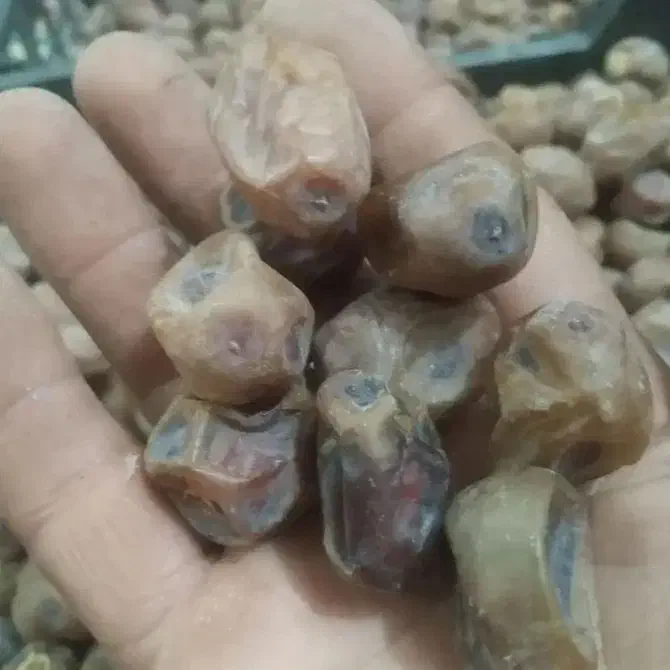 خرما برحی تمیز|عمده‌فروشی|چمران, |دیوار