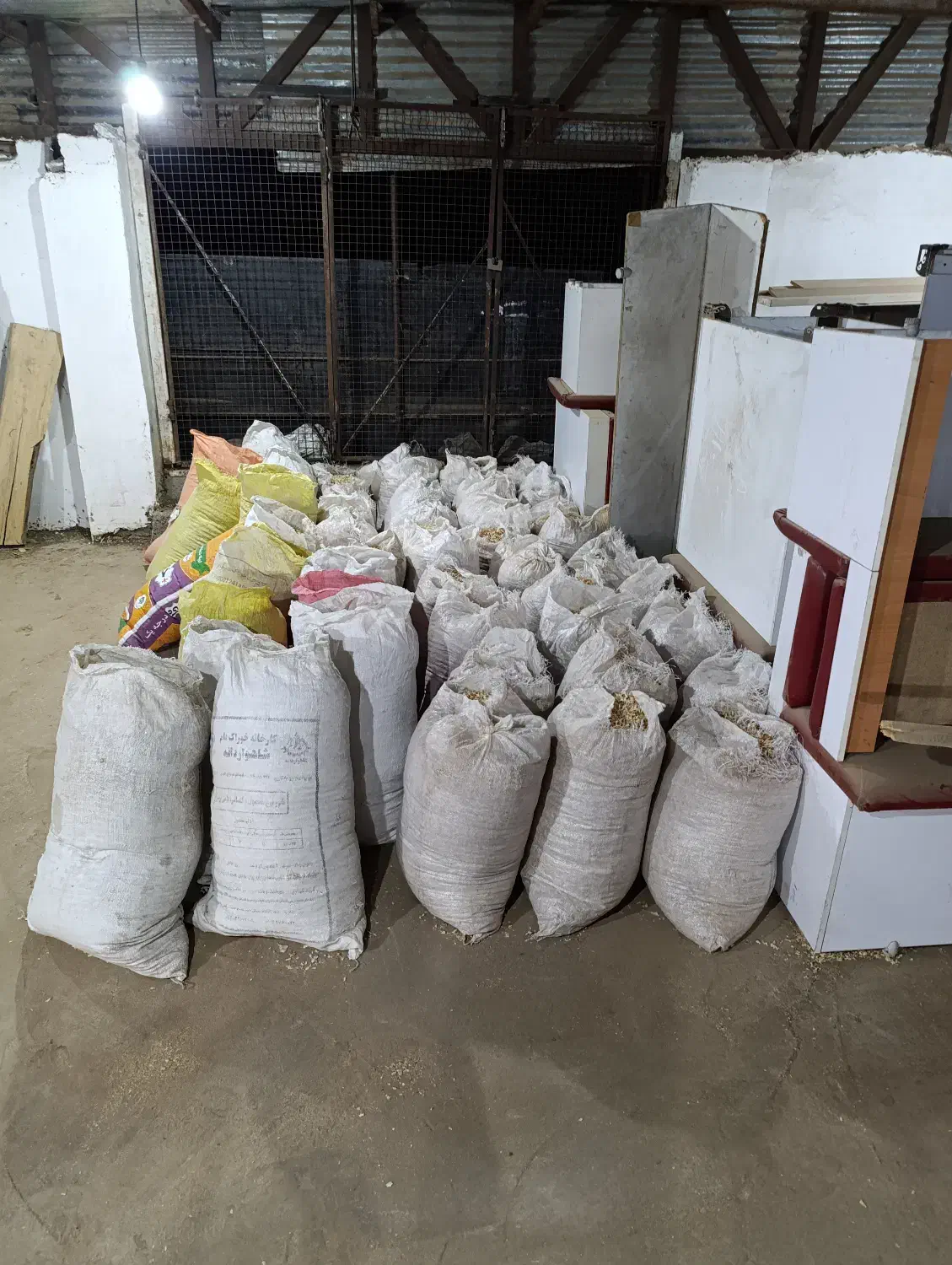 پوشال چوب مرغوب|لوازم جانبی حیوانات|شاهرود, |دیوار