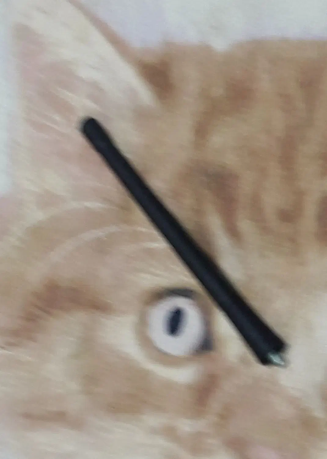 آنتن برقی ماشین دو تیکه|قطعات یدکی و لوازم جانبی|کرمانشاه, |دیوار