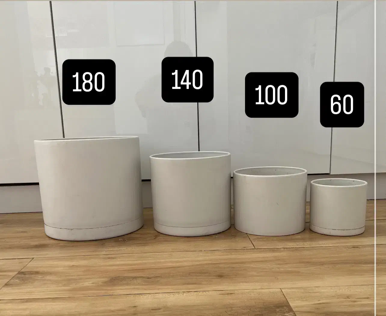 گلدان مهرنی|گل و گیاه طبیعی|بجنورد, |دیوار