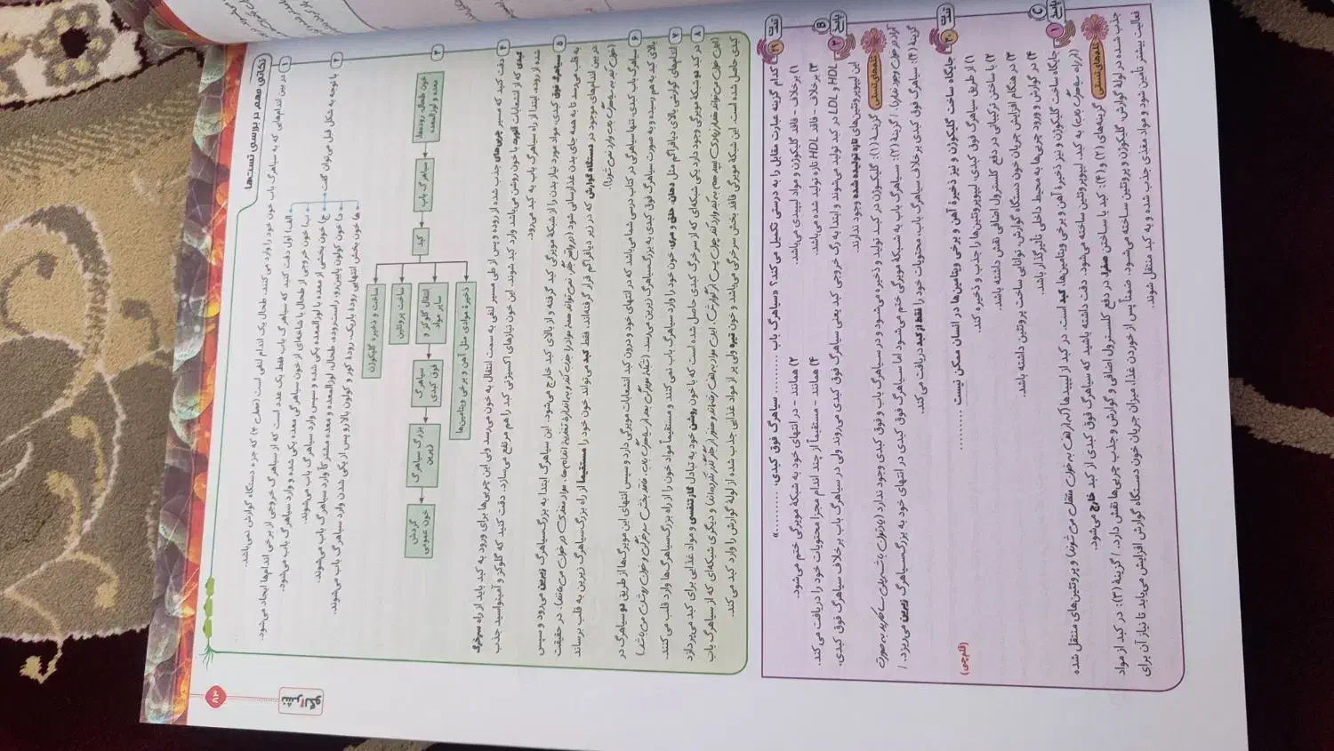 کتاب جامع دوجلدی زیست شناسی پایه دهم نشر الگو|کتاب و مجله آموزشی|اقلید, |دیوار