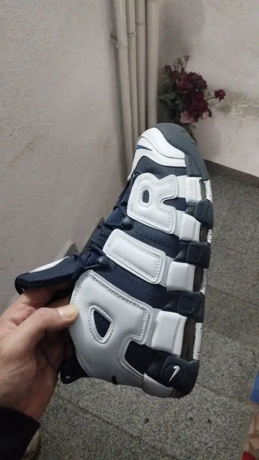 کتونی نایک اپتمپو|کیف، کفش، کمربند|رشت, استادسرا|دیوار