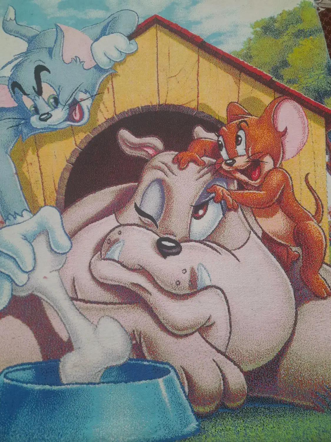 فرش ۳متری|فرش|محمدیه-قزوین, |دیوار