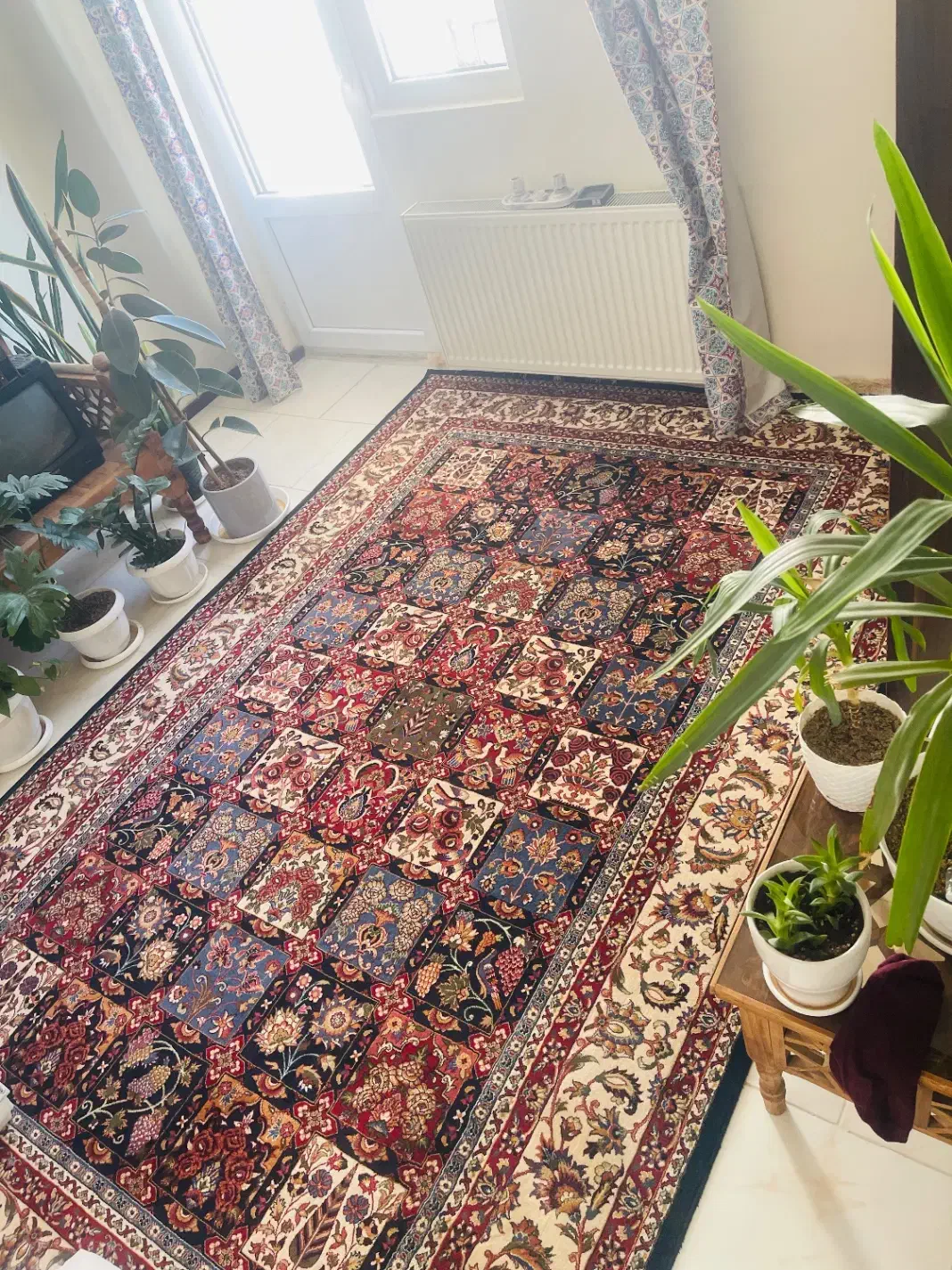 فرش ۶ متری ماشینی|فرش|پردیس, فاز ۱۱|دیوار