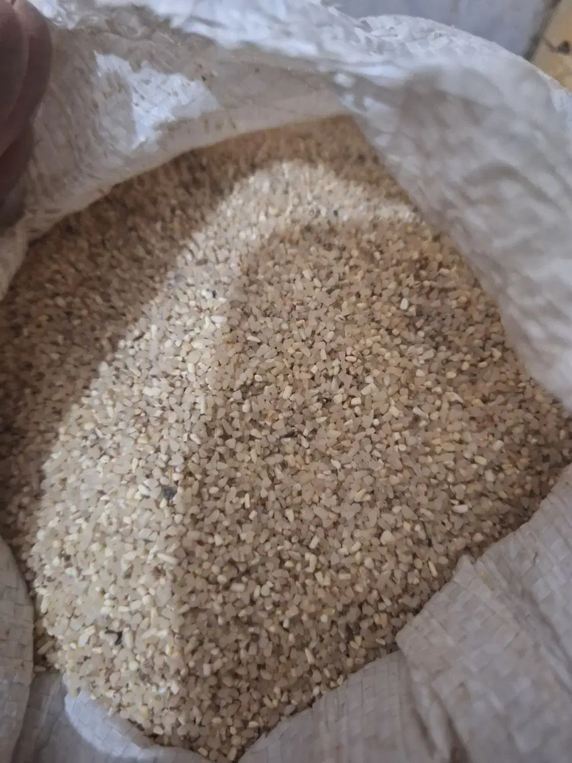 برنج نیم دانه ضایعات|خوردنی و آشامیدنی|زهک, |دیوار