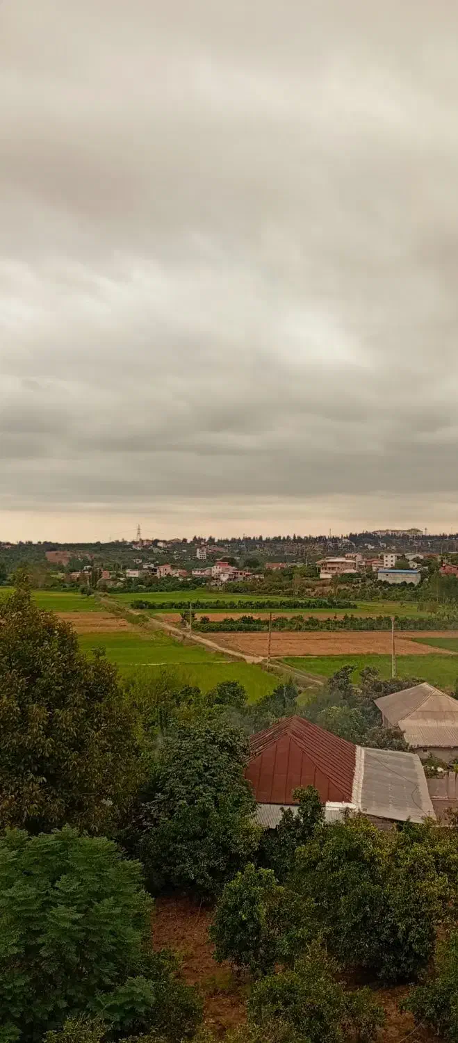 بنایی|خدمات پیشه و مهارت|قائمشهر, |دیوار