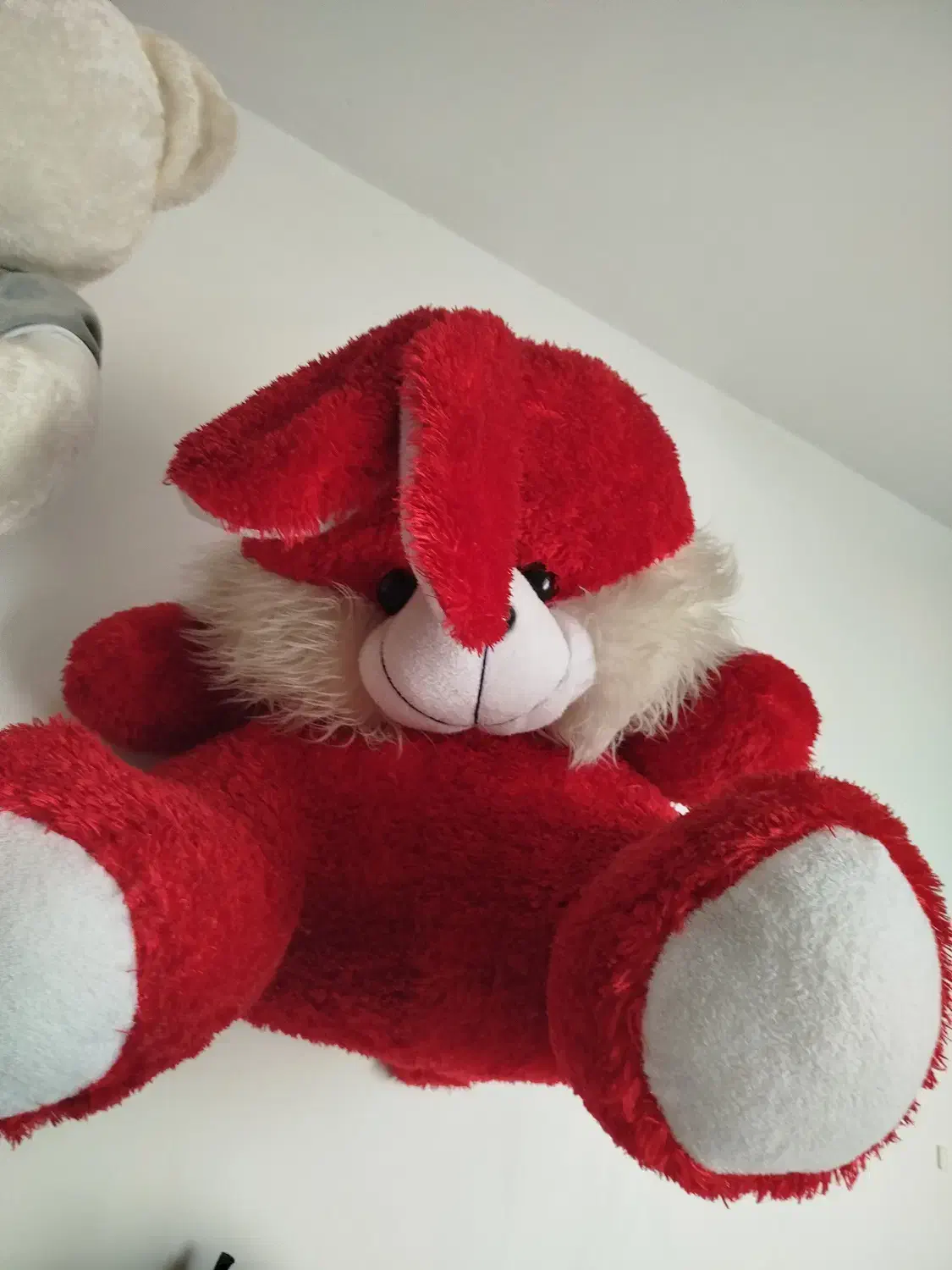 عروسک|اسباب‌‌بازی|ایلام, |دیوار