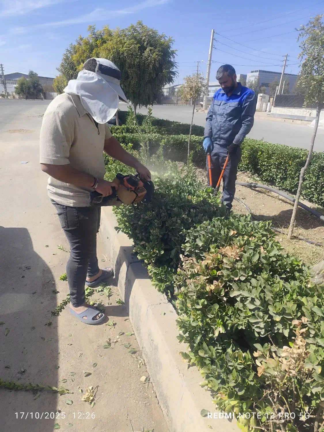 کارشناس ارشد باغبانی و فضای سبز|خدمات باغبانی و درختکاری|تهران, شاهین|دیوار