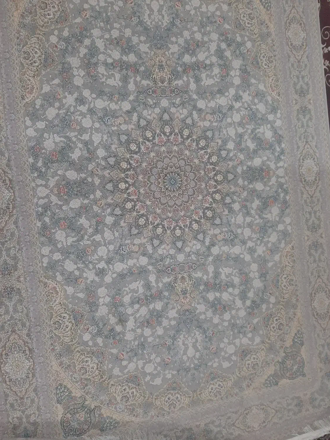 فرش ۴۵۰۰ شانه فروش نقدی یا چک معتبر|فرش|زنجان, |دیوار