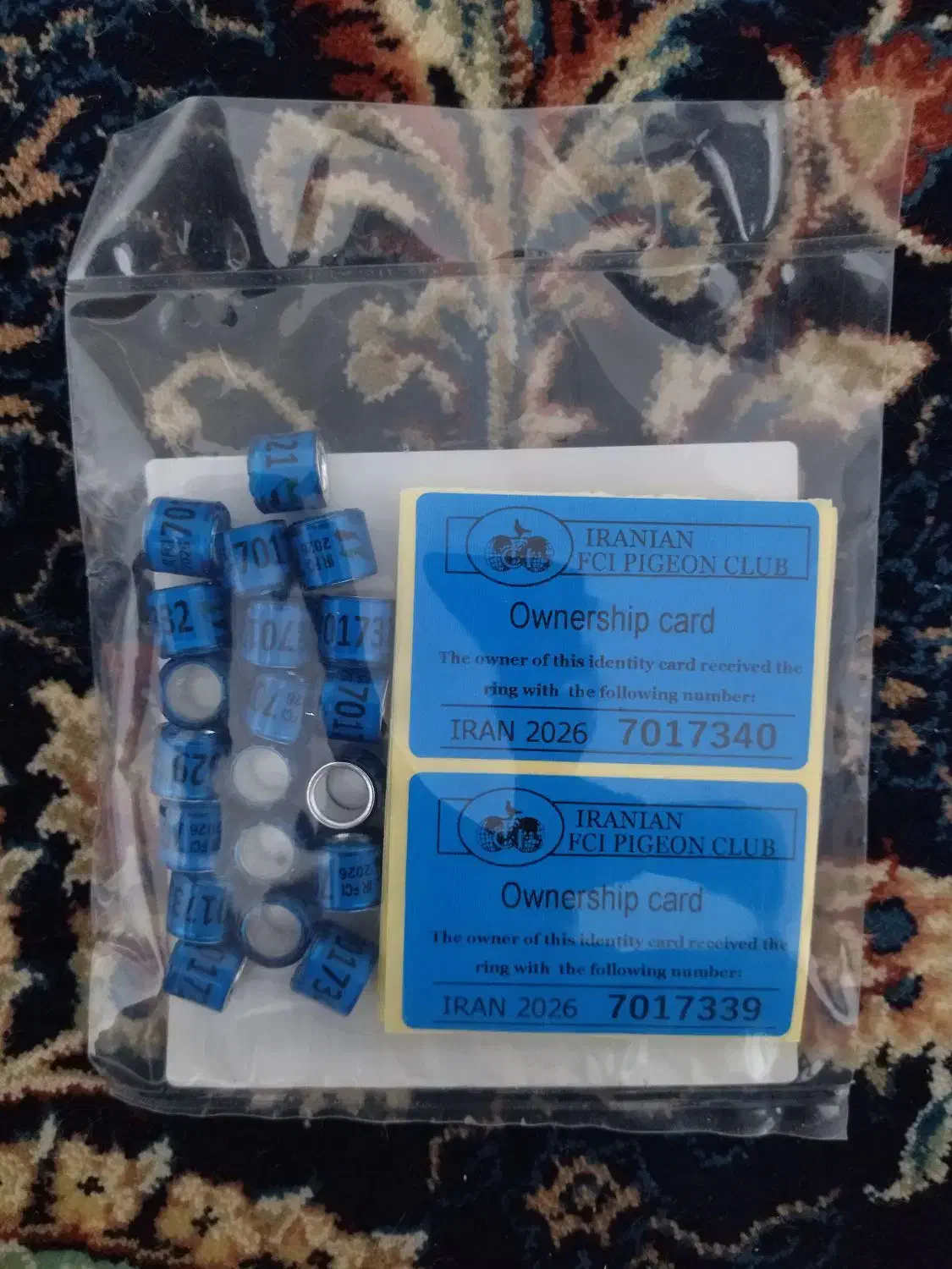 پلاک کبوتر ۲۰۲۶|لوازم جانبی حیوانات|فردوس (خراسان), |دیوار