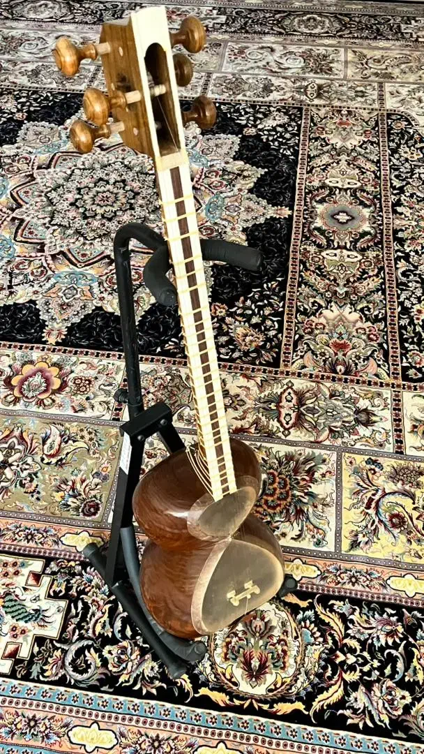 تار خوش صدا|سازهای سنتی|کاشمر, |دیوار