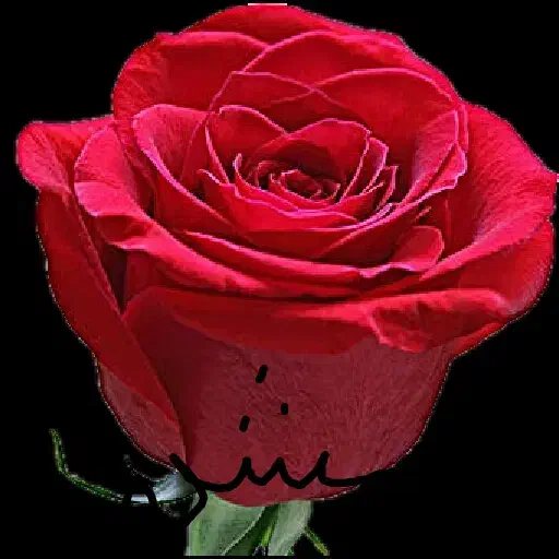 مدارکم گمشده (پاداش)|اشیا|دهدشت, |دیوار