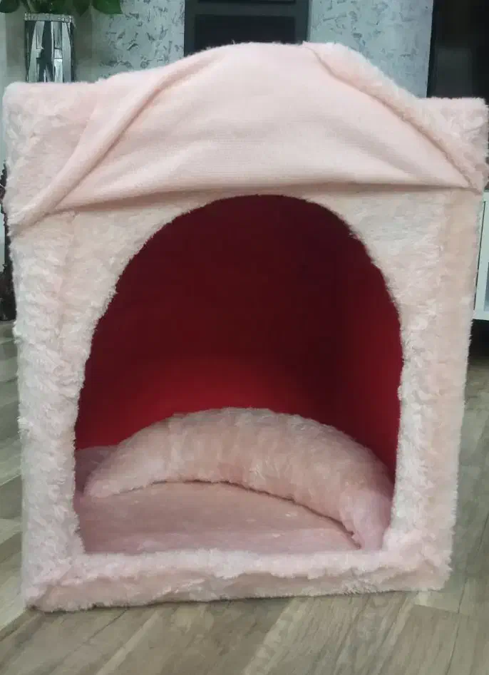 باکس خواب گربه|لوازم جانبی حیوانات|اردبیل, |دیوار