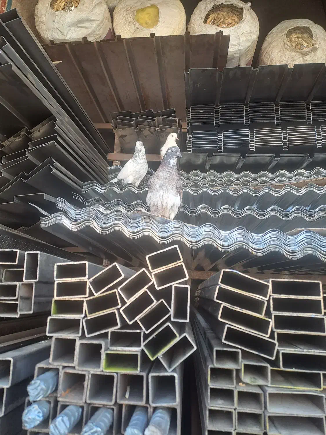 ورق شیروانی پانچ قوطی پروفیل نبشی وناودانی|عمده‌فروشی|کرج, حصارک پایین|دیوار